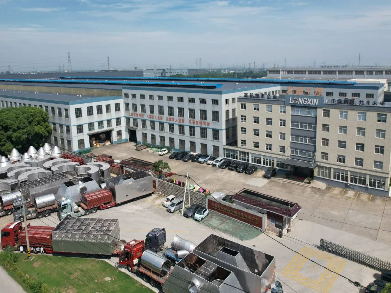 Longxin development history 2022