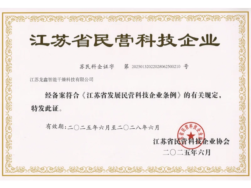 Longxin development history 2025