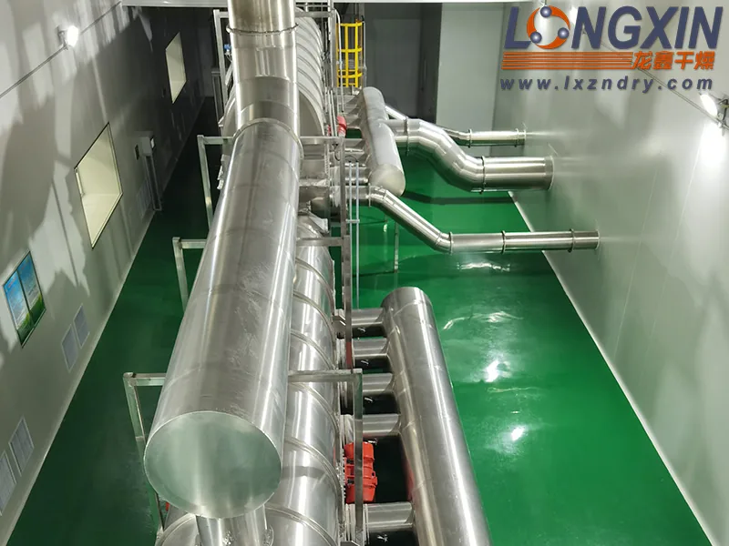 Chicken essence fluid bed drying line 01
