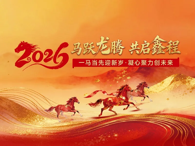 Longxin 2026 Annual Meeting: Reviewing 2025 and Moving Forward Together