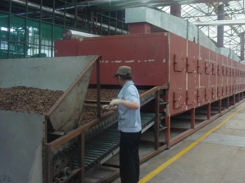 DWD mesh belt dryer with a feed hopper and continuous conveyor