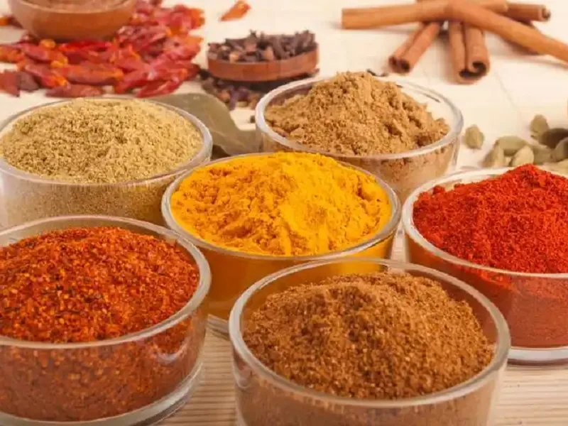 Savory Flavor & Seasoning Centrifugal Spray Drying System